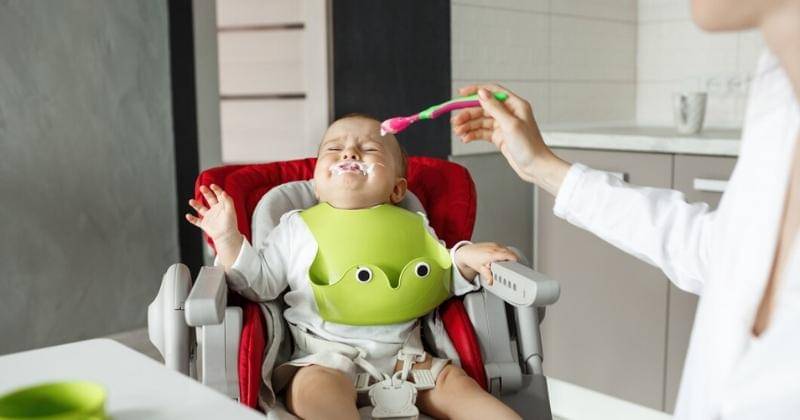 Freepik/cookie_studio